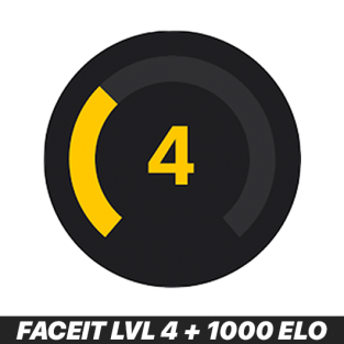 CS:GO/CS2 Faceit Level 4 + 1000 Elo + 1.000H Playtime + First Mail Account
