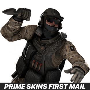 CS:GO/CS2 Prime Status + 20-30 Skins + First Mail Account