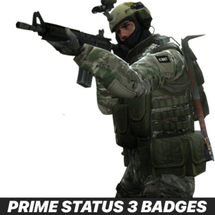 CS:GO/CS2 Prime Status + 5-Year-Veteran-Coin + Global Offensive Badge + Loyalty Badge + Hand Boosted Account