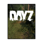 DayZ Account